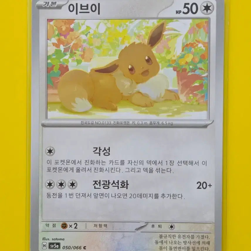 [BUNJANG] Pokemon Eevee 5-Type Set / 포켓몬카드 이브이 5종세트