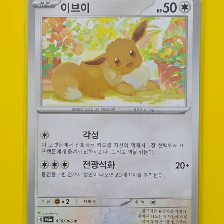 [BUNJANG] Pokemon Eevee 5-Type Set / 포켓몬카드 이브이 5종세트