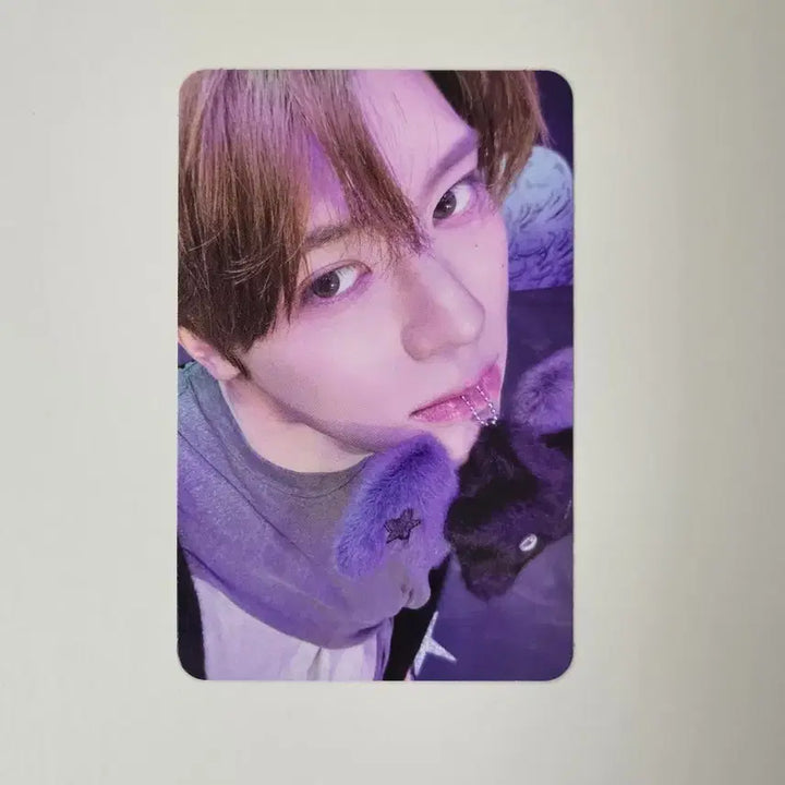 [BUNJANG] NCT WISH Os To Love Wishy Photocard Sion / 엔시티위시 오드투러브 위츄 포카 시온