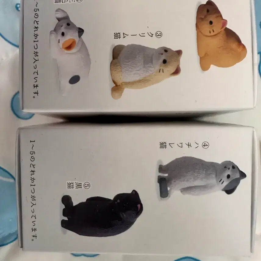 [BUNJANG] Sealed Cat &amp; Fox Figurines 5-Piece Set (Gachapon Size) / 미개봉 고양이 피규어 5종 세트,여우