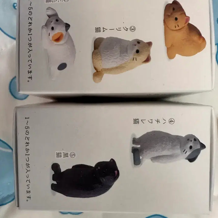 [BUNJANG] Sealed Cat &amp; Fox Figurines 5-Piece Set (Gachapon Size) / 미개봉 고양이 피규어 5종 세트,여우