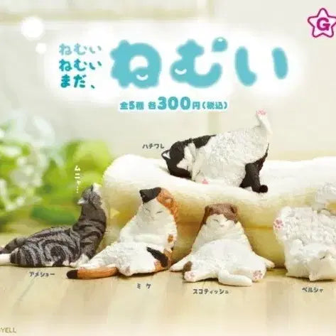 [BUNJANG] Nemui Neko Sleepy Cat Gacha Bundle Set / 네무이 네코 졸리운 고양이 가챠 일괄
