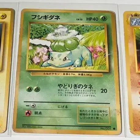 [BUNJANG] Pokemon Japanese 1996 First Edition Coil, Bulbasaur, Sandslash Bundle Set / 포켓몬 카드 일판 1996년 초판 코일/이상해씨/코뿌리 일괄 판매