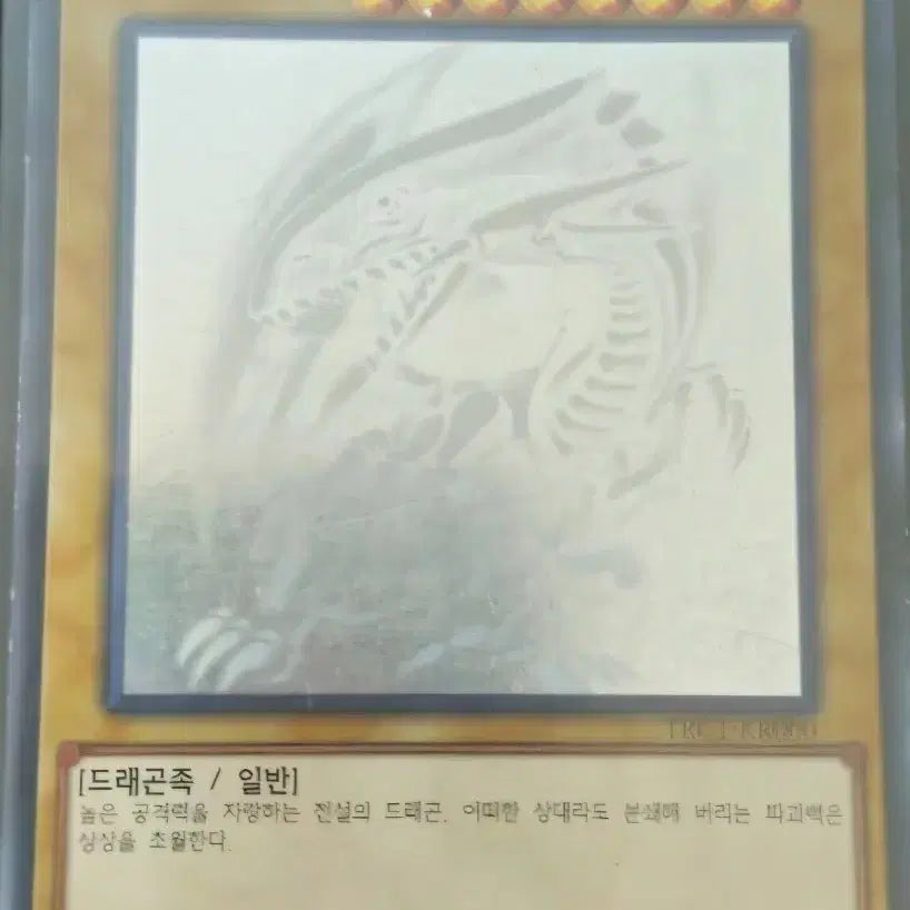 [BUNJANG] Yu-Gi-Oh! Blue-Eyes White Dragon Holographic Rare / 유희왕 푸른 눈의 백룡 홀로그래픽 레어