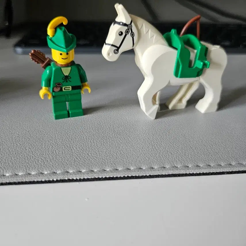 [BUNJANG] LEGO Forest Set / 레고 포레스트 셋트