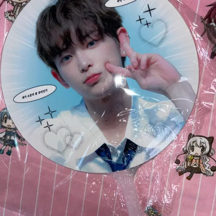 [BUNJANG] Harua &amp;TEAM Uchiwa / 하루아 앤팀 우치와