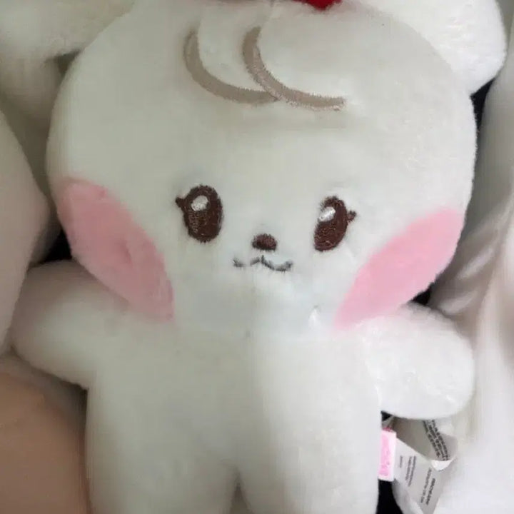 [BUNJANG] IVE Minini Cherry Mini Bundle Set / 아이브 미니니 체리니 미니브 체리 팔아요