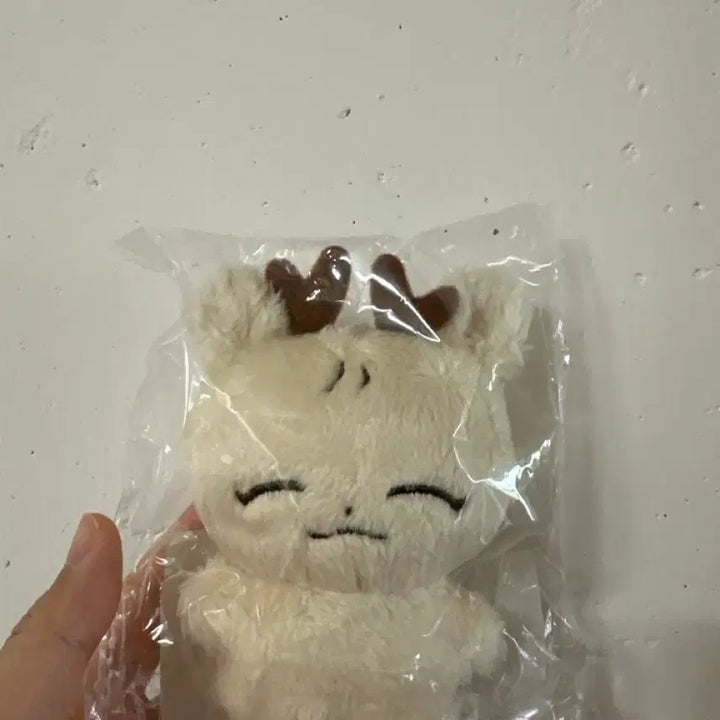 [BUNJANG] Seventeen Joshua Jeolmi Shoe Doll / 세븐틴 조슈아 인형 절미슈