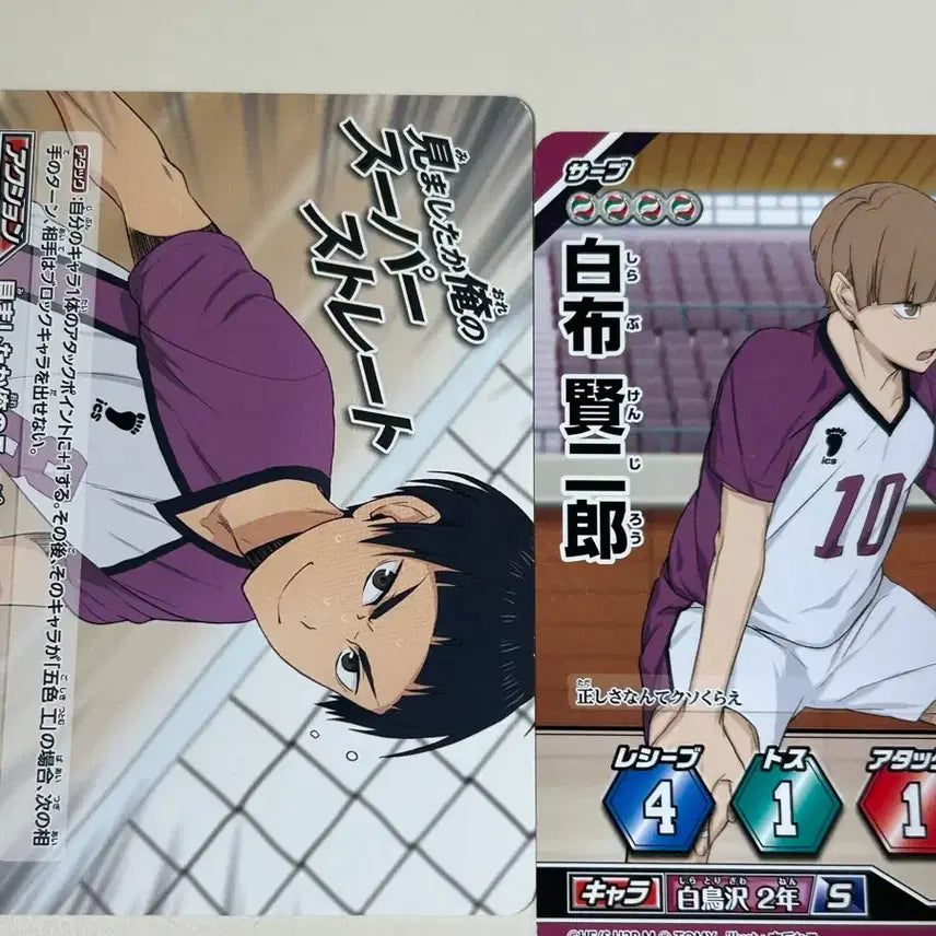 [BUNJANG] Haikyuu Shiratorizawa Set - Barokk Cards / 하이큐 시라토리자와 바보카