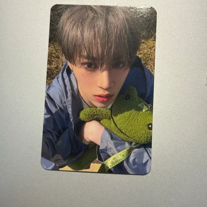 [BUNJANG] Arno Mid-Con Élise Zone Photocard / 아르노 중콘 앨리즈존 포카 하자O