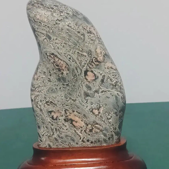 [BUNJANG] Yeongdeok Tiger-Patterned Stone / 수석(영덕공작석)
