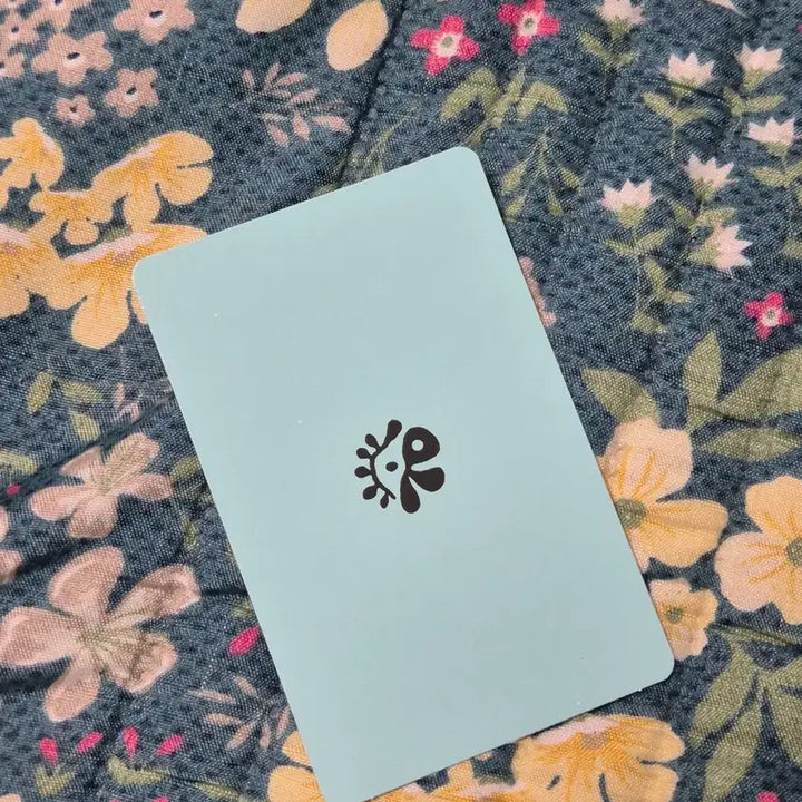 [BUNJANG] Cortis Kim Jihoon Photocard Red Red Green Green Album / 코르티스 김주훈 cortis 포카 레드레드 그린그린 앨범 포토카드 포카