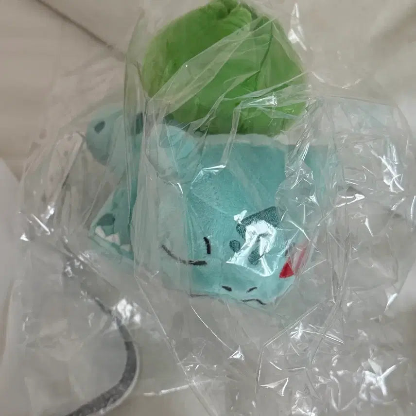 [BUNJANG] Pokemon Bulbasaur Plush Toy / 포켓몬스터 정품 이상해씨 인형 판매