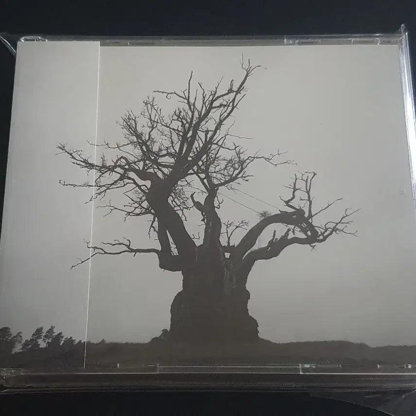 [BUNJANG] SEKAI NO OWARI Best Album BEST 2010-2019 (2CD) / 세카이노오와리 베스트 앨범 BEST 2010-2019 (2CD) 음반
