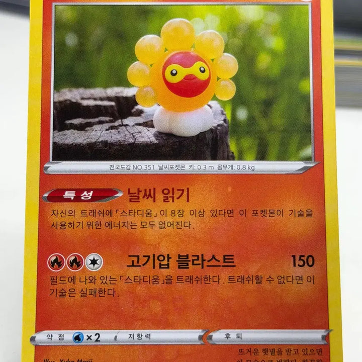 [BUNJANG] Caspon Sun&