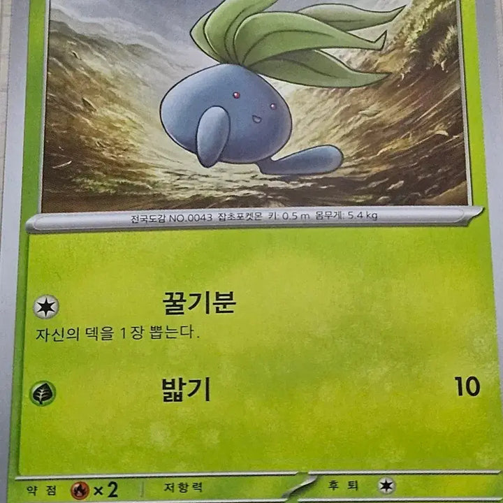 [BUNJANG] Pokemon Card Sunkern 001/108 C / 포켓몬 카드 뚜벅쵸 001/108 C