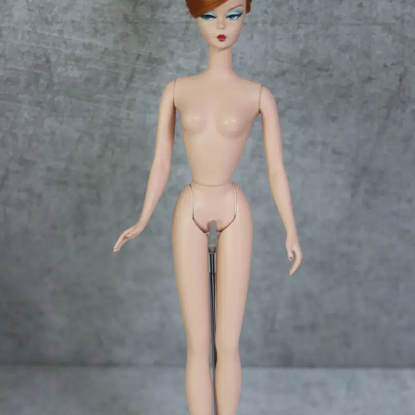 [BUNJANG] Silkstone Barbie Doll / 실크스톤 바비