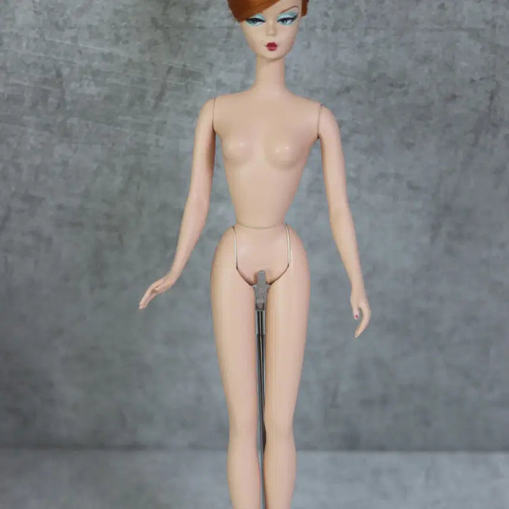 [BUNJANG] Silkstone Barbie Doll / 실크스톤 바비