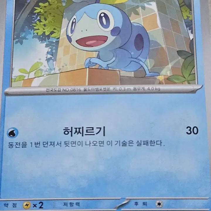 [BUNJANG] Pokemon Card Turtwig 021/063 / 포켓몬 카드 울머기 021/063