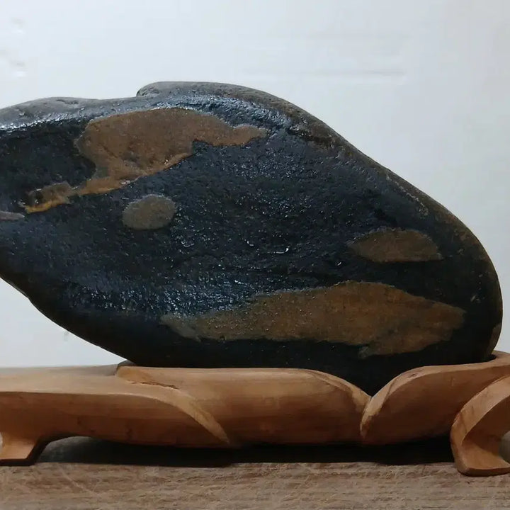 [BUNJANG] Namhangang Lepidodendron Pattern Stone / 수석 자연수석 이피문양석