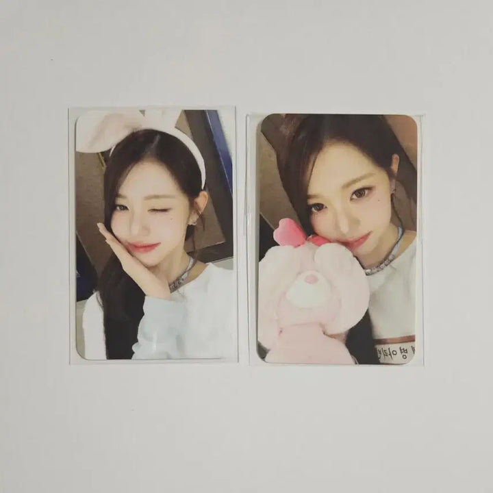 [BUNJANG] IVE Wonyoung Everland Photopass Mission Special Photocard Bundle Set / 일괄) 아이브 원영 에버랜드 포토패스 미션 스페셜 포카MD 엠디