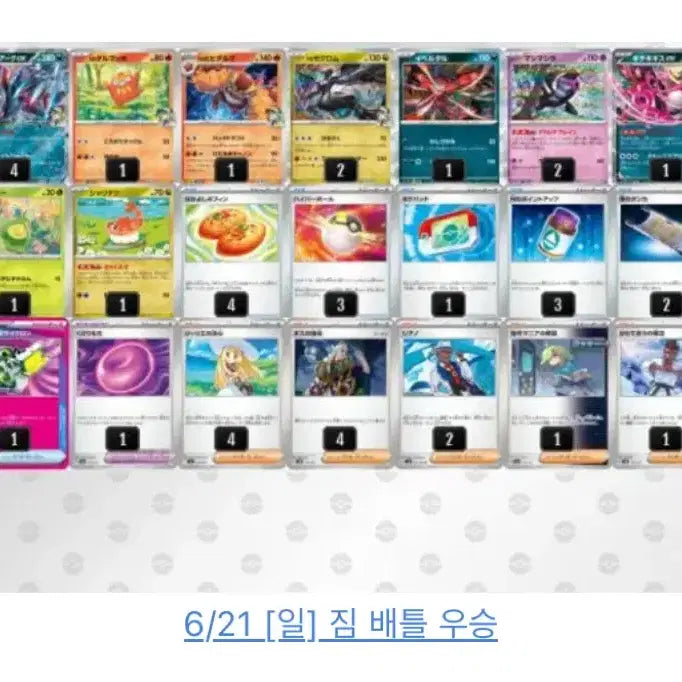[BUNJANG] Pokemon TCG Zoroark Complete Deck / 포켓몬카드게임  n의 조로아크 완덱 / 슬리브포함 / 입문용