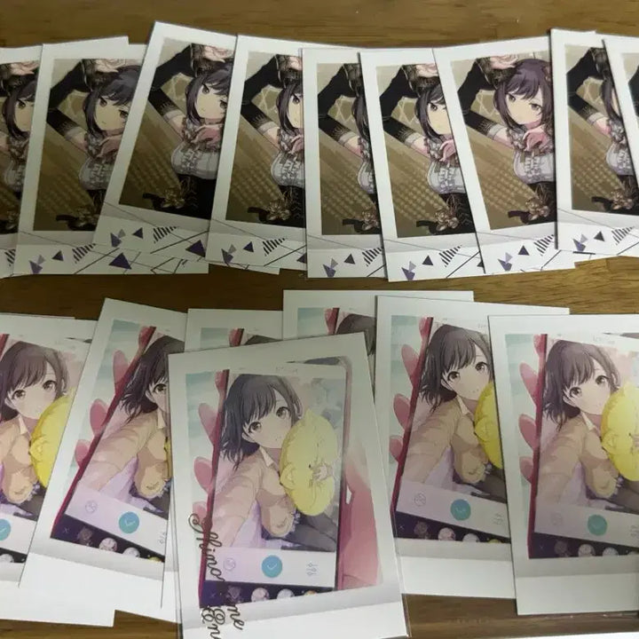 [BUNJANG] Ena Pasha Cards Bundle Set / 프세카 에나 파샤 일괄
