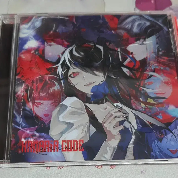 [BUNJANG] Canary Code Album / 카나리아 코드 앨범