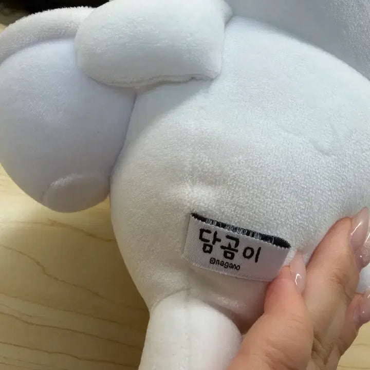 [BUNJANG] Gomdangi Ramen Doll Plush Toy / 담곰이 라면 인형새상품 마지막네고
