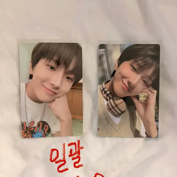 [BUNJANG] BOYNEXTDOOR Woonggi Photocard / 보이넥스트도어 운학 포카
