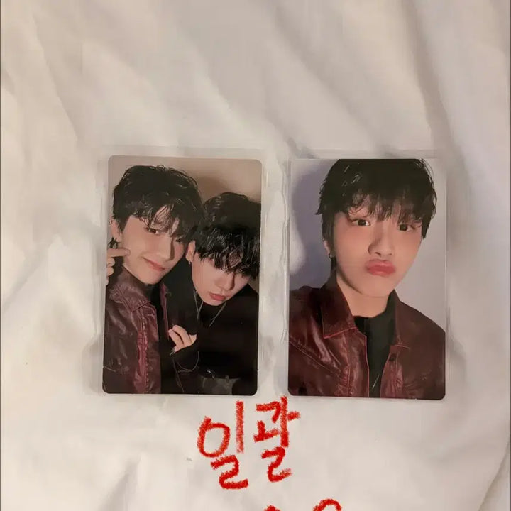 [BUNJANG] BOYNEXTDOOR No.1 Natural Yunhak Photocard / 보이넥스트도어 노장르 운학 포카