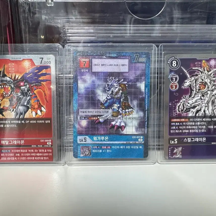 [BUNJANG] Digimon Adventure Card Set SR, R / 디지몬 어드벤쳐 카드 SR, R 세트