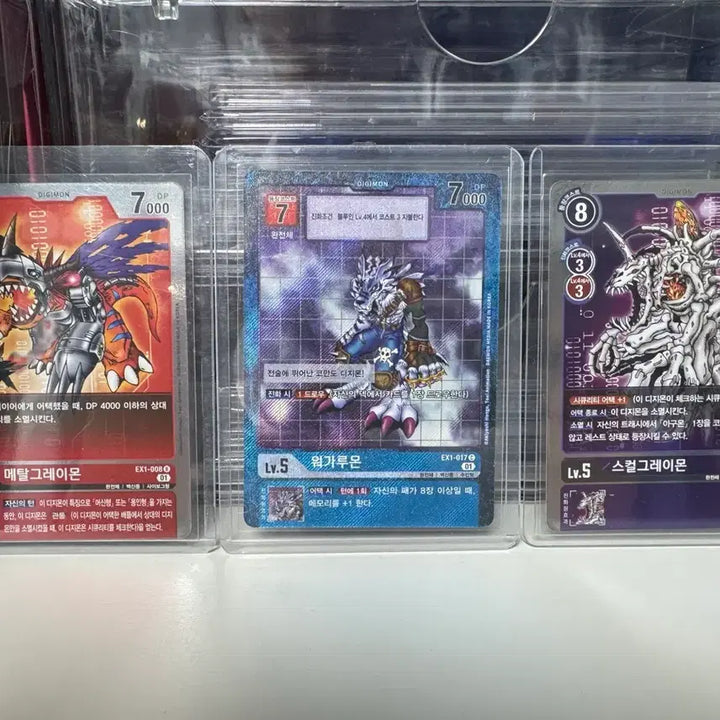 [BUNJANG] Digimon Adventure Card Set SR, R / 디지몬 어드벤쳐 카드 SR, R 세트