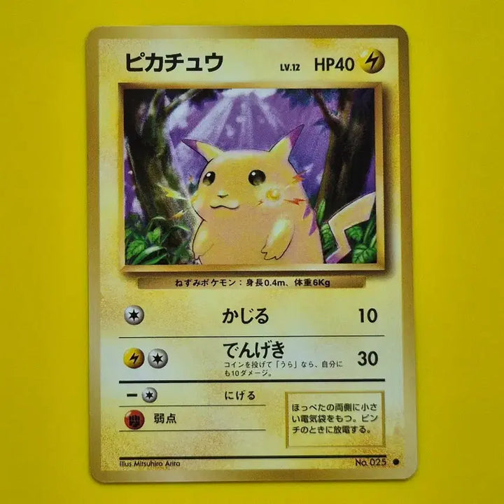 [BUNJANG] Pokemon Card Pikachu 1st Edition Japanese Version 1996 / 포켓몬카드 1996 큰 피카츄 초판 일판 일본판 11