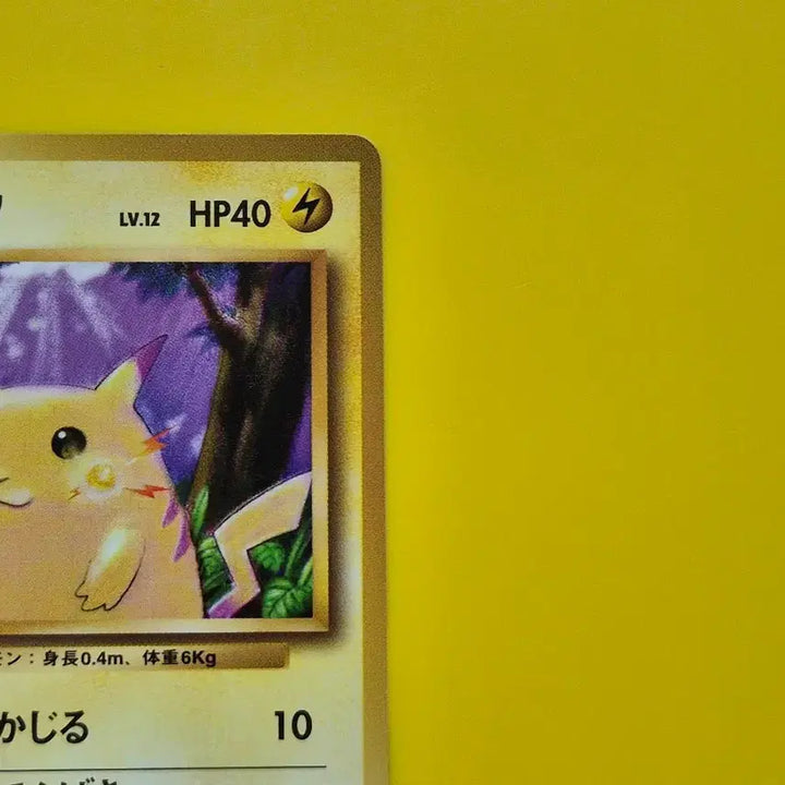 [BUNJANG] Pokemon Card Pikachu 1st Edition Japanese Version 1996 / 포켓몬카드 1996 큰 피카츄 초판 일판 일본판 11