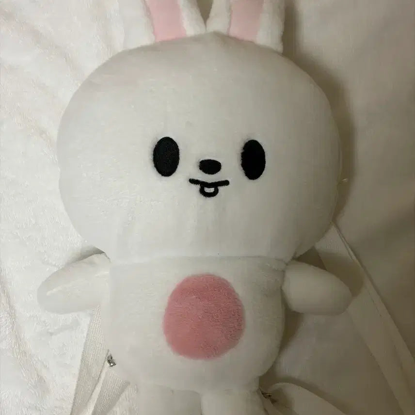 [BUNJANG] Stray Kids SKZOO Ribbit Plush Backpack / 스트레이키즈 스키즈 팬미팅 플러시 백팩 리빗
