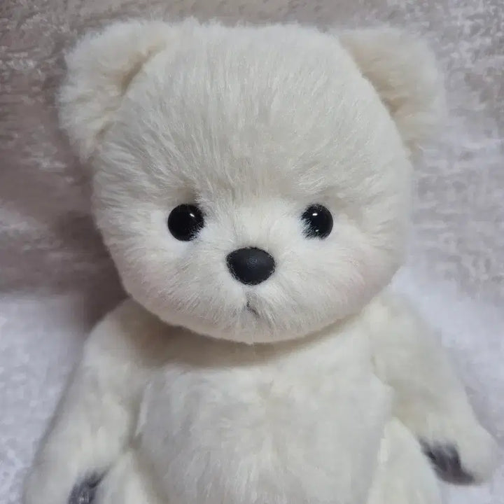 [BUNJANG] Teddytails Lena Bear Polar Bear Plush 20cm / (새상품)테디테일즈 레나베어 북극곰 s사이즈 20cm