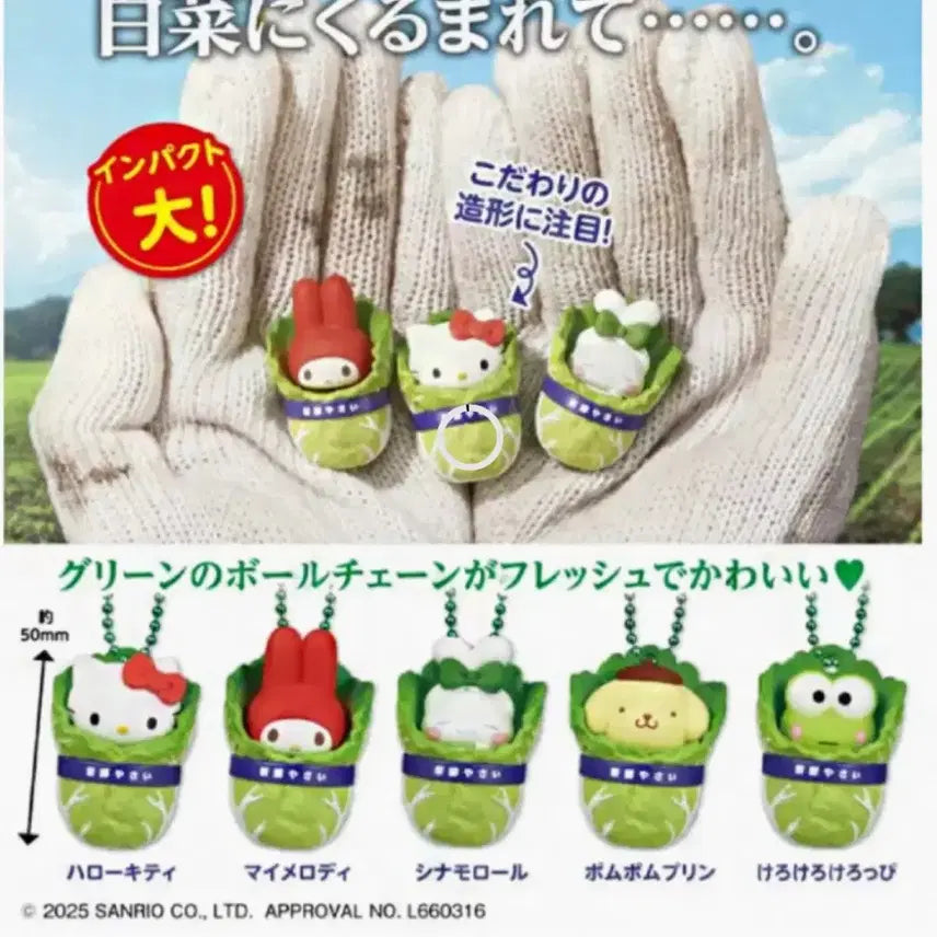 [BUNJANG] Sanrio Cabbage Mascot Gacha Full Set (5 types) / 풀세트 산리오 배추 마스코트 가챠 5종
