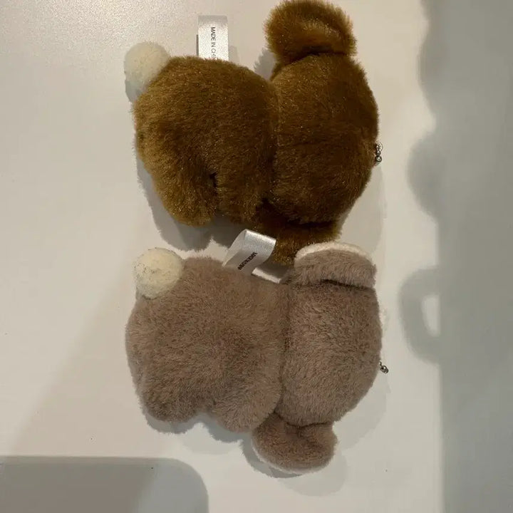 [BUNJANG] Koala Gacha Keyring Bundle Set / 코알라 가챠 키링 일괄