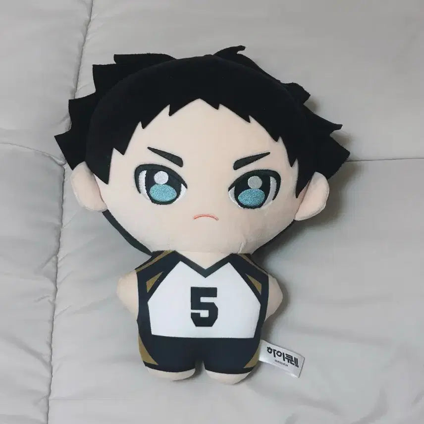 [BUNJANG] Haikyuu!! Akaashi Keiji Large Plush / 하이큐 아카아시 케이지 큰인형 판매