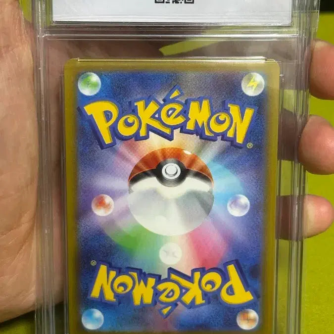 [BUNJANG] Pokemon Card Mudkip AR CCG 10 Graded / 일판) 포켓몬카드 개구마르 AR CCG 10등급