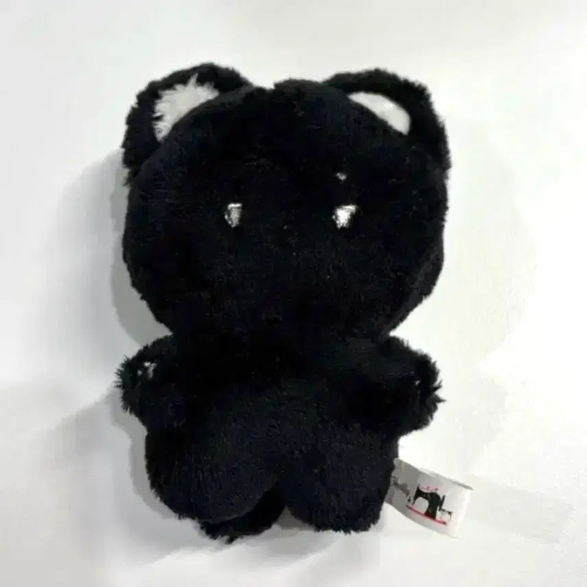 [BUNJANG] BOYNEXTDOOR Taesan "Tae-nyako" Plush Doll / 보이넥스트도어 태산 인형 태냐코 솜넥도 보넥도 포카 포토카드