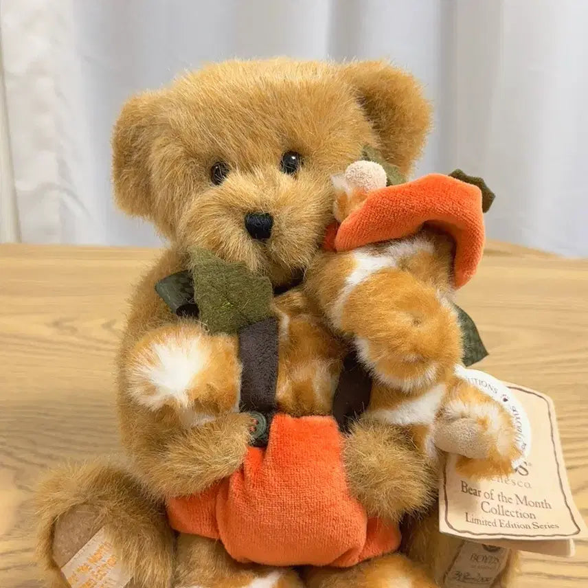 [BUNJANG] Boyds Bears Year of the Bear 2011 Limited Edition Teddy Bear / 고전 빈티지 보이즈베어 오브 더 먼스 테디베어 2011 리미티드 인형