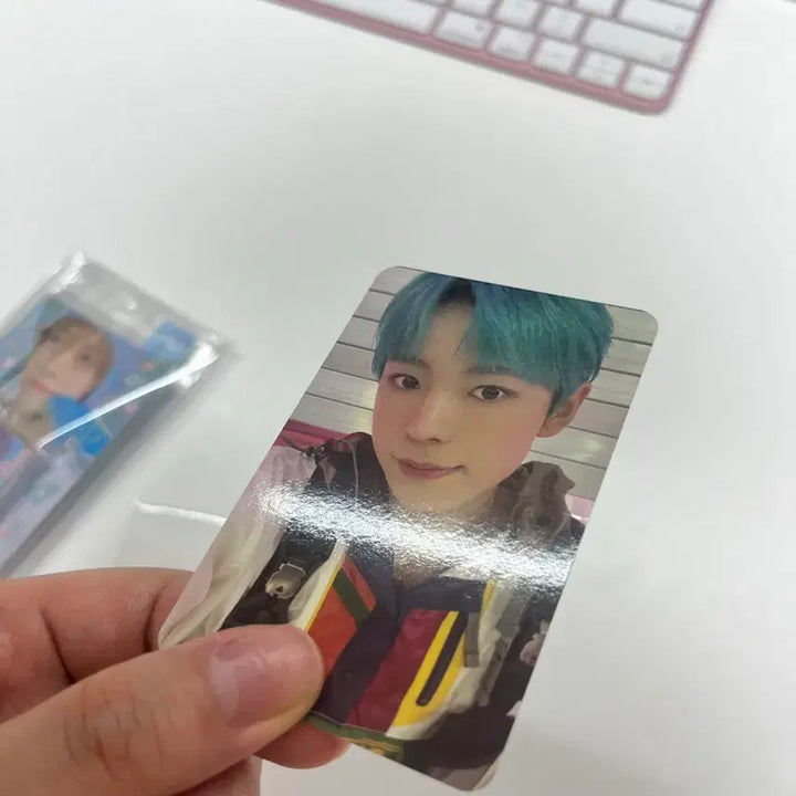 [BUNJANG] Kaito Yuushi Songbird Photocard Bundle Set / 유우시 송버드 슴미니 +유우시송버드포카