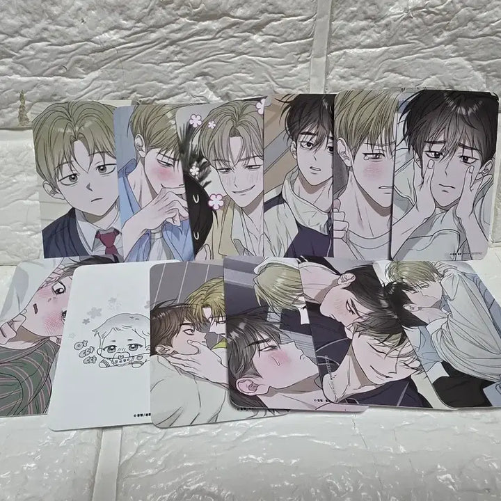 [BUNJANG] Mofun Kkotjeyeon Flower Pond Photocard Full Set / 모펀 꽃지연 꽃이 지는 연못 방문포카 방포 12장 풀셋 드볼