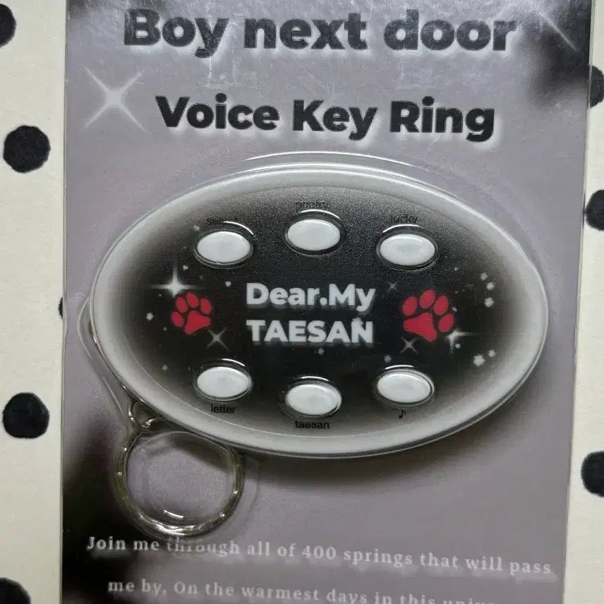 [BUNJANG] BOYNEXTDOOR Taesan Voice Keychain / 보넥도 태산 보이스키링양도