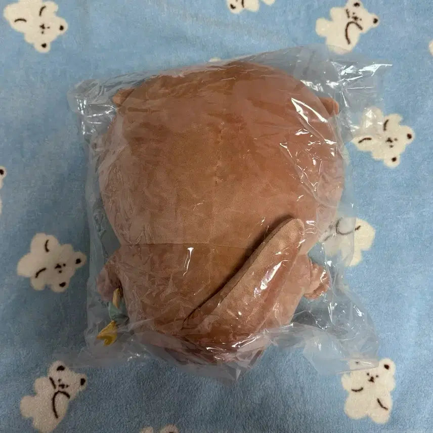 [BUNJANG] Nagano Kuji Prize B Otter Plush / 나가노 쿠지 b상 수달 누이