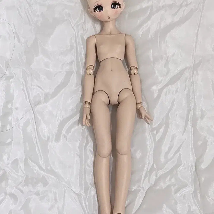 [BUNJANG] Imodoll Custom Head + MDD Flesh Body Dollfie Dream / 이모돌 커스텀 헤드+mdd 돌피드림 플레시 바디