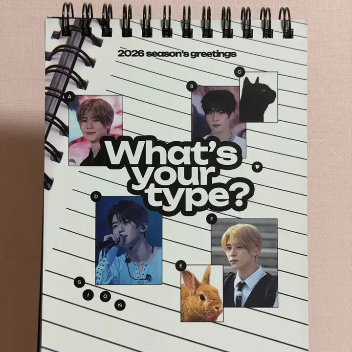 [BUNJANG] Yume SECHSKIES Sion 2026 Season&