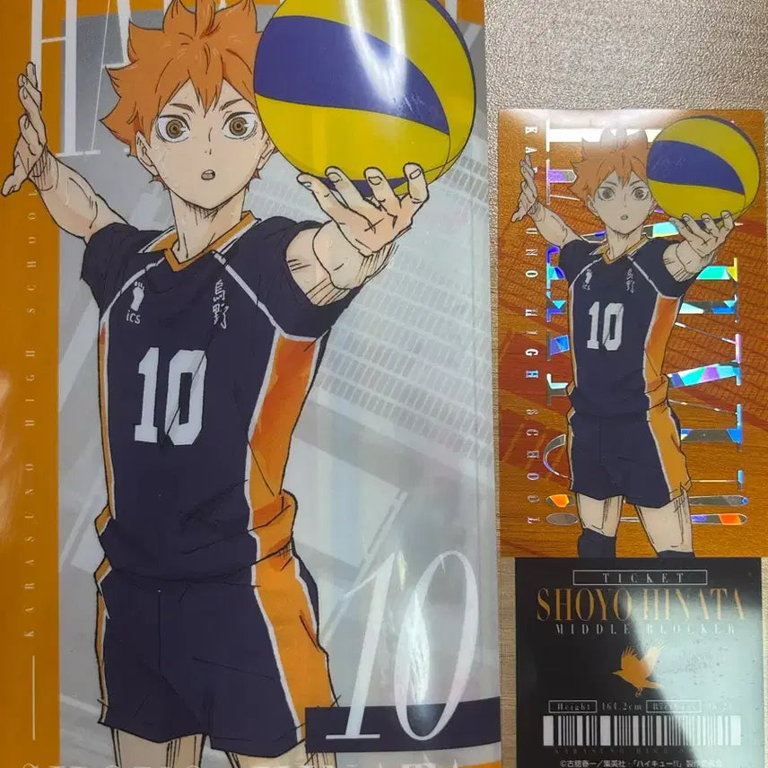 [BUNJANG] Haikyu!! Ichiban Kuji Hinata Shoyo Ticket File / 하이큐 제일복권 히나타 쇼요 티켓 굿즈